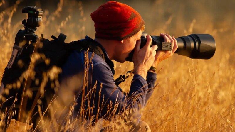 Nature Photography 101 Guide