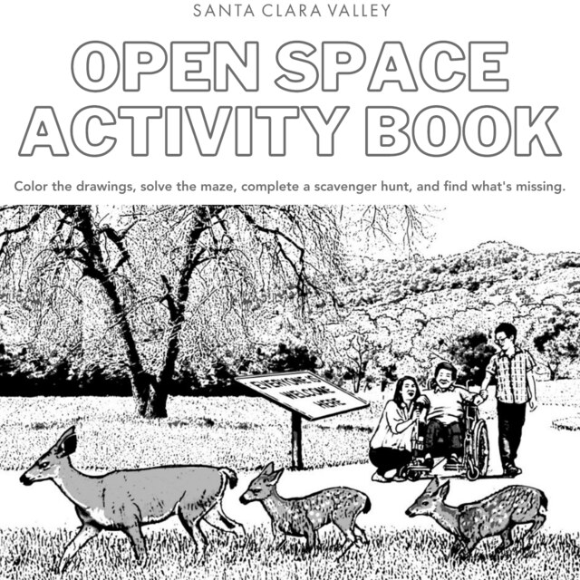 Wildlife Activity Book